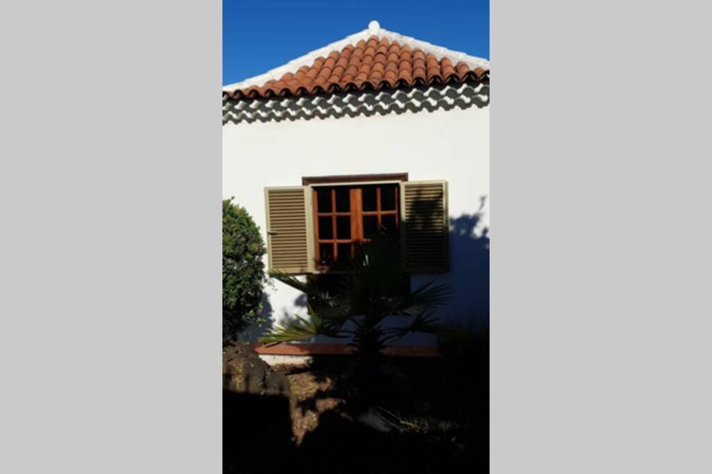 Villa La Paz Puerto de la Cruz  Zewnętrze zdjęcie