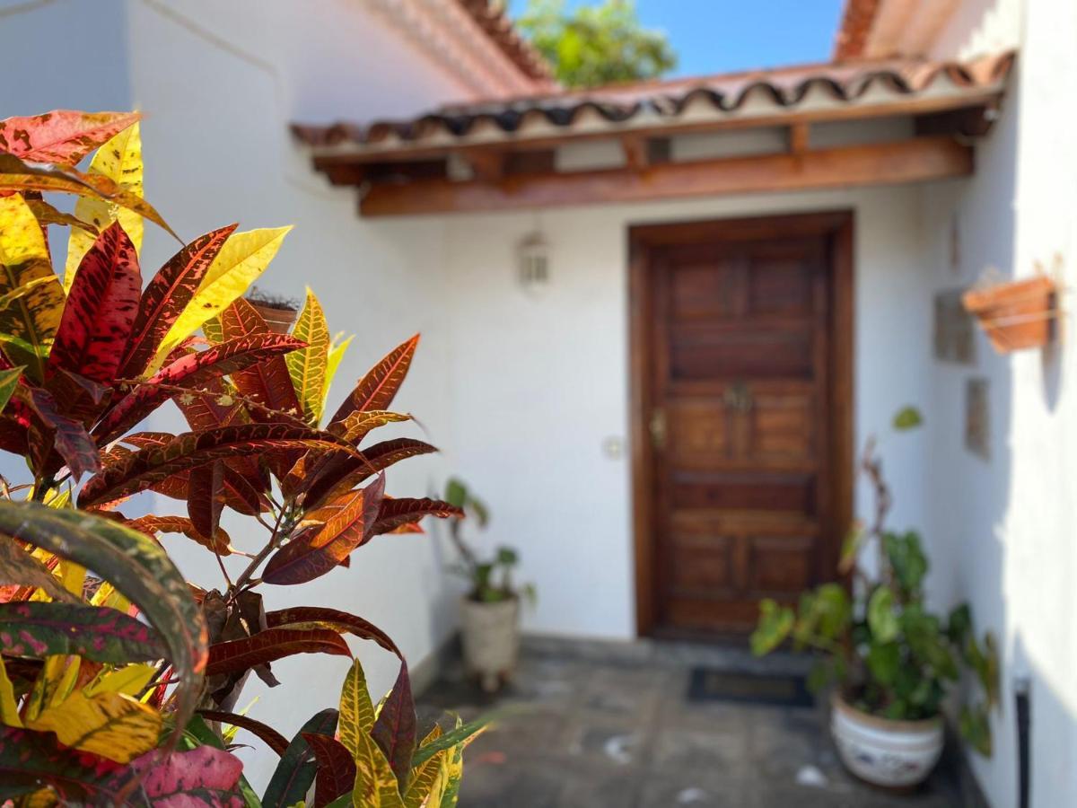 Villa La Paz Puerto de la Cruz  Zewnętrze zdjęcie