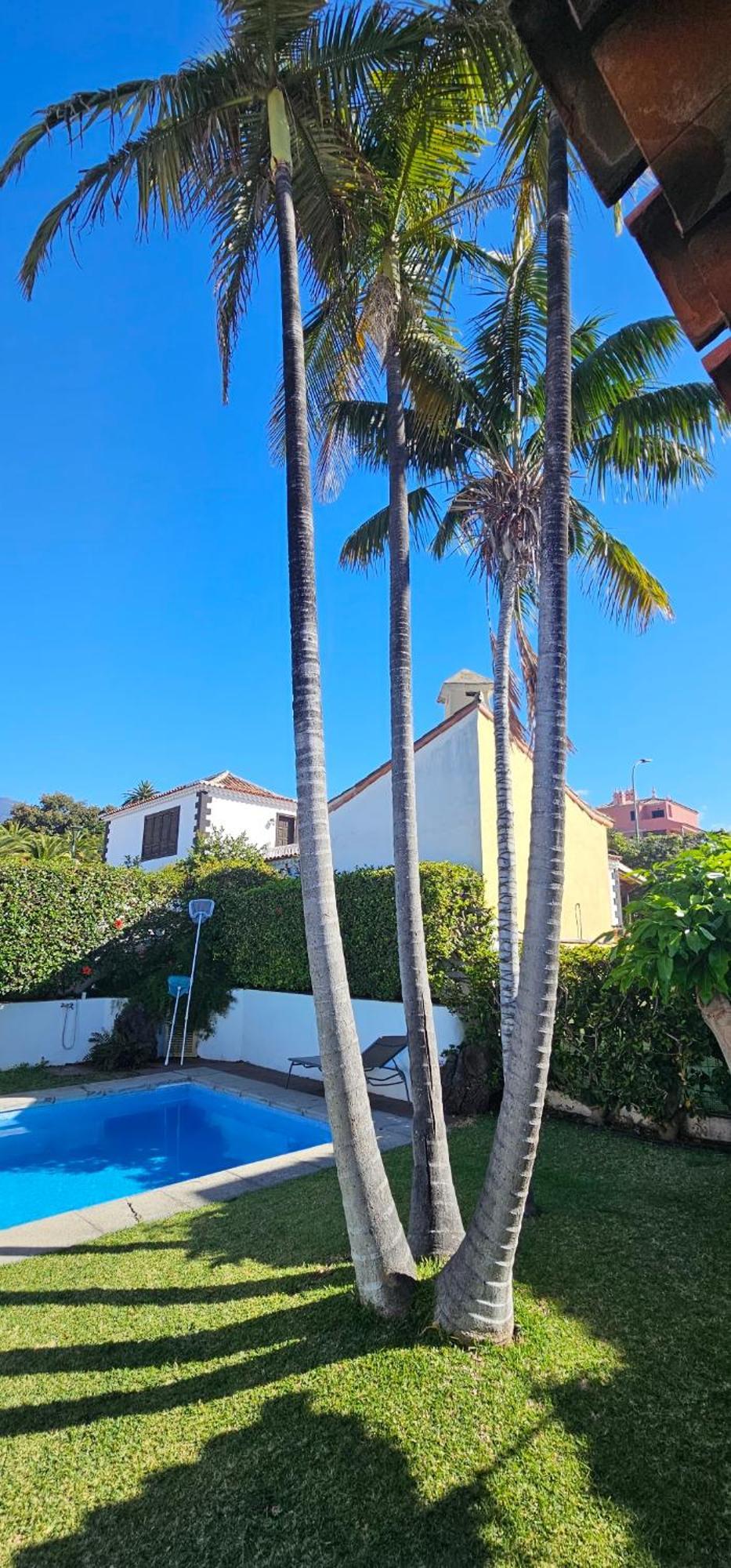Villa La Paz Puerto de la Cruz  Zewnętrze zdjęcie